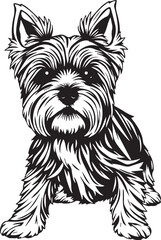 Yorkshire terrier dog. Hand drawn vector illustration	