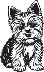 Yorkshire terrier dog. Hand drawn vector illustration	