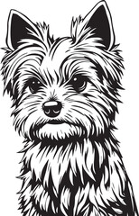 Yorkshire terrier dog. Hand drawn vector illustration	