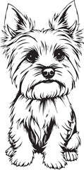 Yorkshire terrier dog. Hand drawn vector illustration	
