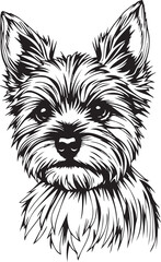 Yorkshire terrier dog. Hand drawn vector illustration	