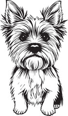 Yorkshire terrier dog. Hand drawn vector illustration	