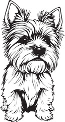 Yorkshire terrier dog. Hand drawn vector illustration	