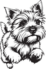 Yorkshire terrier dog. Hand drawn vector illustration	