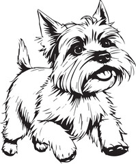 Yorkshire terrier dog. Hand drawn vector illustration	