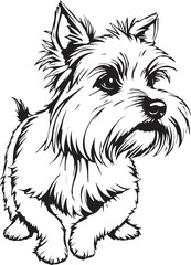 Yorkshire terrier dog. Hand drawn vector illustration	
