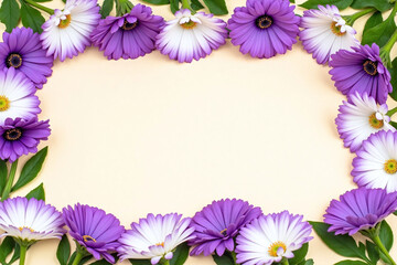purple clematis flowers on a white background