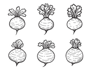 Turnip line art hand drawn artwork minimalistic vegetable farming sketch 