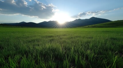 Obraz premium Lush green field at sunset, mountains in the background