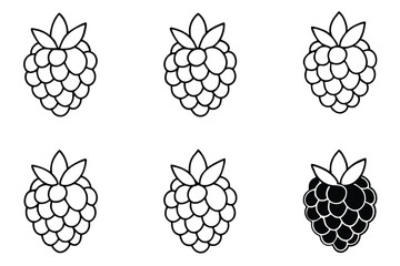 boysenberry line art botanical sketch of ripe sweet berries