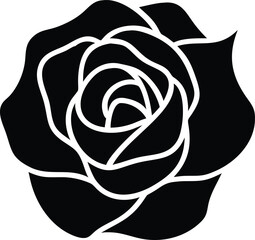 white rose on black background