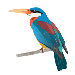 Colorful kingfisher Vector AI
