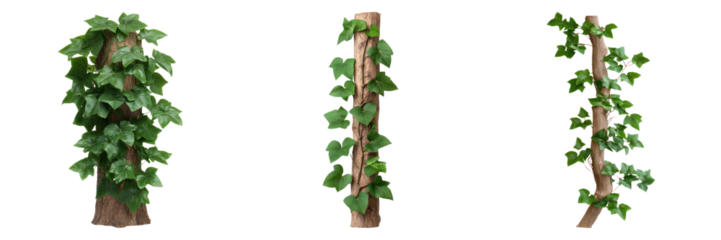 vine covered tree trunk with lush green leaves creates natural and vibrant atmosphere, perfect for enhancing any space