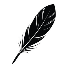 Obraz premium Feather with fading tips on white background