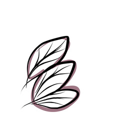 vector illustration of a leaf