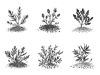 Zaatar line art traditional middle eastern spice herbal sketch design 