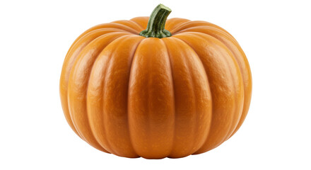 Isolated Ripe Pumpkin Autumn