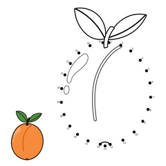 Connect the dots and draw an apricot. Dot to dot game for kids. Funny puzzle activity page with a fruit. Vector illustration