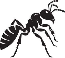 Carpenter Ant Vector | Black Ant Silhouette Clipart Illustration	
