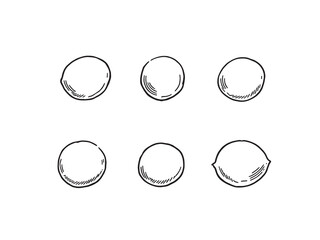 Snow Peas line art delicate edible pod drawing