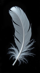 delicate white feather with intricate details and soft, wispy edges, set against black background, evokes sense of lightness and elegance
