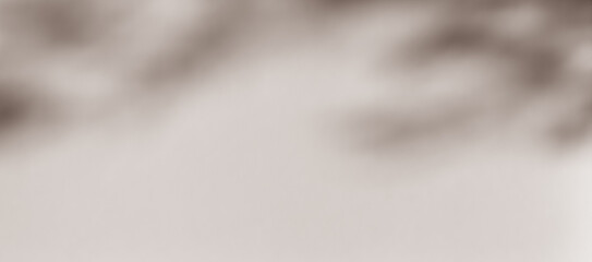 Obraz premium Brown shadow of leaves tree plant overlay on wall. Sunlight effect shadow on the wall. Minimal blurred backdrop backgrounds. Summer tropical surface background.