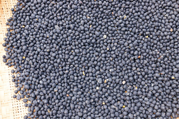 Black bean pellets for crops