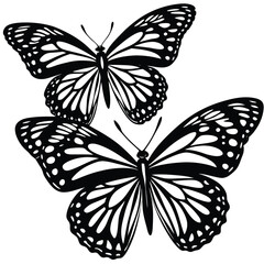 Butterflies silhouette black background on white Background