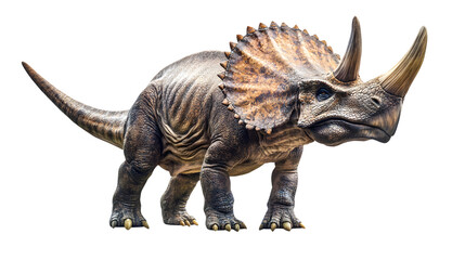 Obraz premium Triceratops Dinosaur Isolated on Transparent Background - Detailed and Realistic Prehistoric Creature Illustration