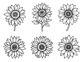  Sunflower line art beauty in nature through minimalistic illustration style
