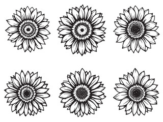  Sunflower line art beauty in nature through minimalistic illustration style