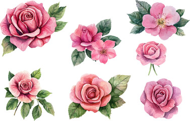 Naklejka premium Hand-Painted Pink Rose – Watercolor Floral Clipart for Crafts