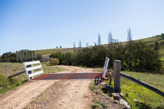 Cattle grid at farm entrance