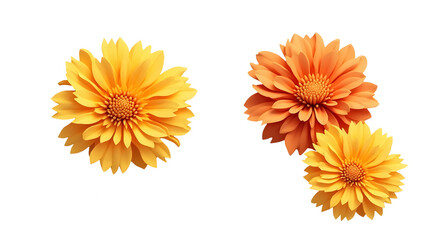 Vibrant decorative clipart artwork of yellow and orange flowers nature visual design isolated
