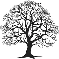 Obraz premium “Tree Silhouettes: Nature’s Shadows in Minimalist Beauty”