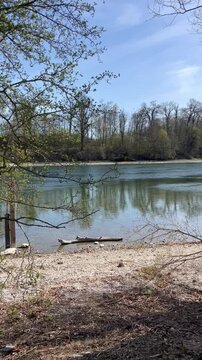 Fr&uuml;hling am Rhein. Tiefer Wasserstand. Sonne