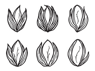 Mung Beans line art healthy organic food sketch black white 