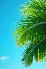 Lush green palm fronds sway gently under vibrant blue skies, sunlit , holiday, sunlight