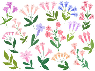 Spring flowers collection, botanical isolates in flat style