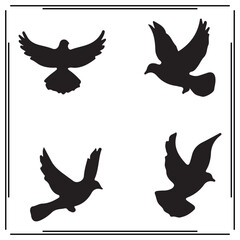 Dove silhouette, Dove illustration , Dove clipart, Dove vector ,Dove icon , black Dove, Dove illustration on white background, Dove vector illustration ,