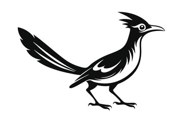Fototapeta premium Roadrunner Bird Silhouette Standing Profile View, Detailed Crest Feathers, Bold Black and White