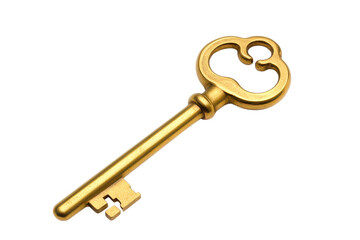 golden key on white background