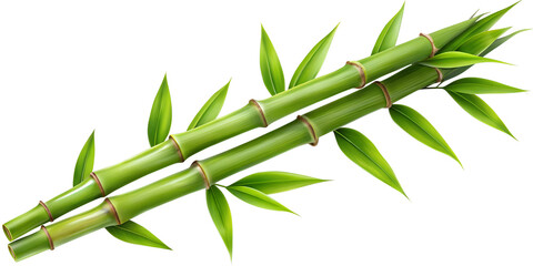 Bamboo stalks with vibrant leaves featuring soft natural shadows for tranquil backgrounds transparent, bamboo, stalks, leaves, green, natural, shadows, tranquility, nature,