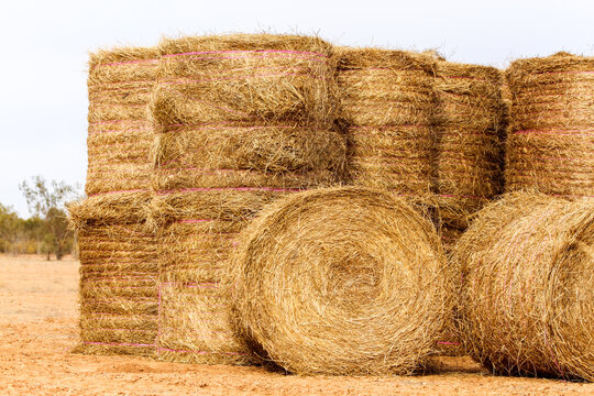 Large hay bales delivered and stacked for drought relief.