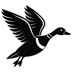 vector illustration of a duck