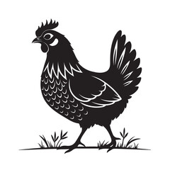 A Hen Vector Art illustration Silhouette  