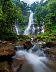 Fototapeta premium Jungle with many big trees and leaves canopy, beautiful waterfall and ray of light