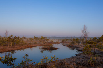 Sunrise, Misty morning, Foggy landscape, Swamp, Marshland, Wetlands, Nature, Golden hour, Moody, Atmospheric, Ethereal, Tranquil, Serene, Reflection, Water, Stillness, Dawn, Early morning, Sunlight