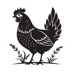 A Hen Vector Art illustration Silhouette  