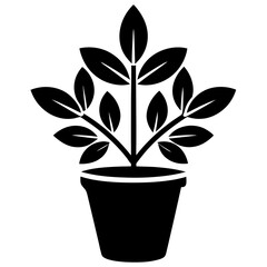 Plant in flower pot vector icon on white background